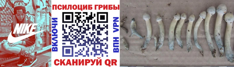 Галлюциногенные грибы мицелий  Серпухов 