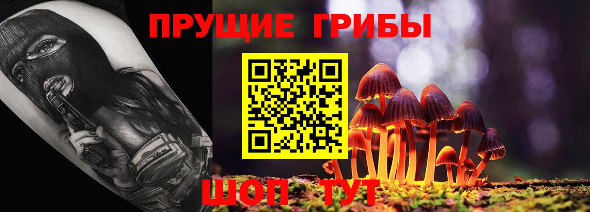 Галлюциногенные грибы мицелий  Вход с VPN  Серпухов 